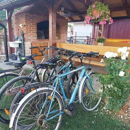 Apartman Andric Apartment *